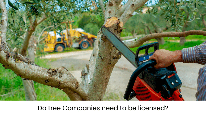 Do tree Companies need to be licensed