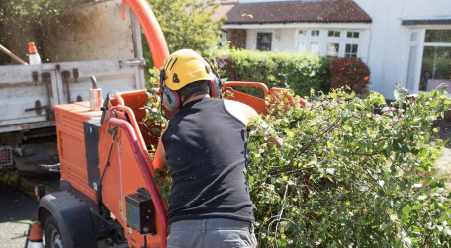 Expert from Overland Park Tree Pros in Overland Park, KS using the wood chipper.
