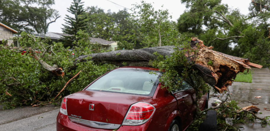Emergency service from Overland Park Tree Pros for broken tree in Overland Park,KS