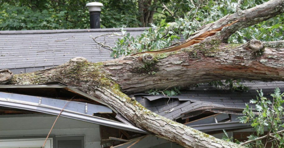 Emergency service by Overland Park Tree Pros for a tree fallen on roof in Overland,KS