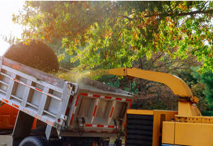 Tree shredding with wood chipper by Overland Park Tree Pros in Overland,KS